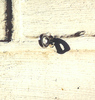 Zubeh�r f�r Vierecksonnensegel - daurelastische Spanngurte + Montagematerial