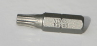 BitEinsatz Torx25 fr slebstschneidende Bohrschrauben aus Edwelstahl 4,8 x 12 mm