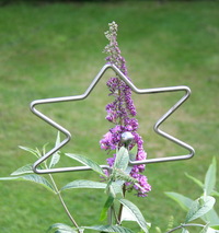Zierstab Stern mit Kugel und blauem Sommerflieder