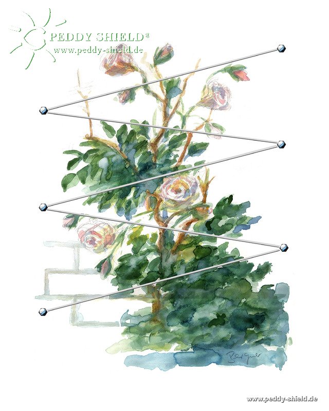 10x Rankhilfe Schrauben f Edelstahlseil für Rosen und Kletterpflanzen Rank Hilfe 