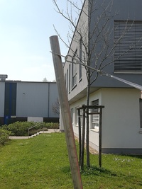 Sonnensegelmast aus gebrstetem Edelstahl