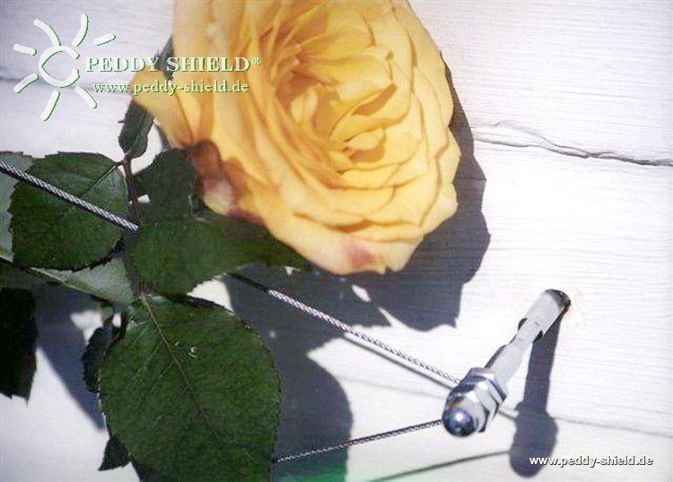 Montagehinweise - Floracord Rankhilfe in Seilspanntechnik - Stahl verzinkt -M8 x 100 mm - fr alle Kletterpflanzen und Rosen