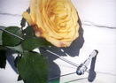 Montagehinweise - Floracord Rankhilfe in Seilspanntechnik - Stahl verzinkt -M8 x 100 mm - fr alle Kletterpflanzen und Rosen