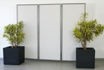 Stellwand 3x Paravent mit 2x Pflanzgef - Drachenbaum 