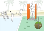 Schraub-Erdanker Paravent (2 Stck) - zweiteilig - Sichtschutz Paravent im Garten/auf Rasen #19