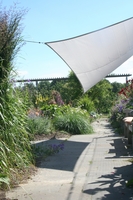 Vierecksonnensegel konkav 2,5 x 3 m - hell silbergrau #11