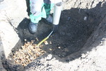 Einf�llen und Auff�llen mit Grobkies f�r den Bereich der Drainage