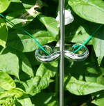 Chrom-Clip fr Rankstab u. Zierstab Garten - zum Anstecken an Premium Rankstbe aus Edelstahlrundstab 6 mm #8