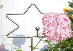 Marine-Edelstahl Zierstab Stern mit groer Kugel und rosa Hortensie